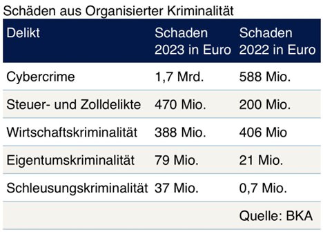 Cyberkriminalität Schäden aus organisierter Kriminalität
